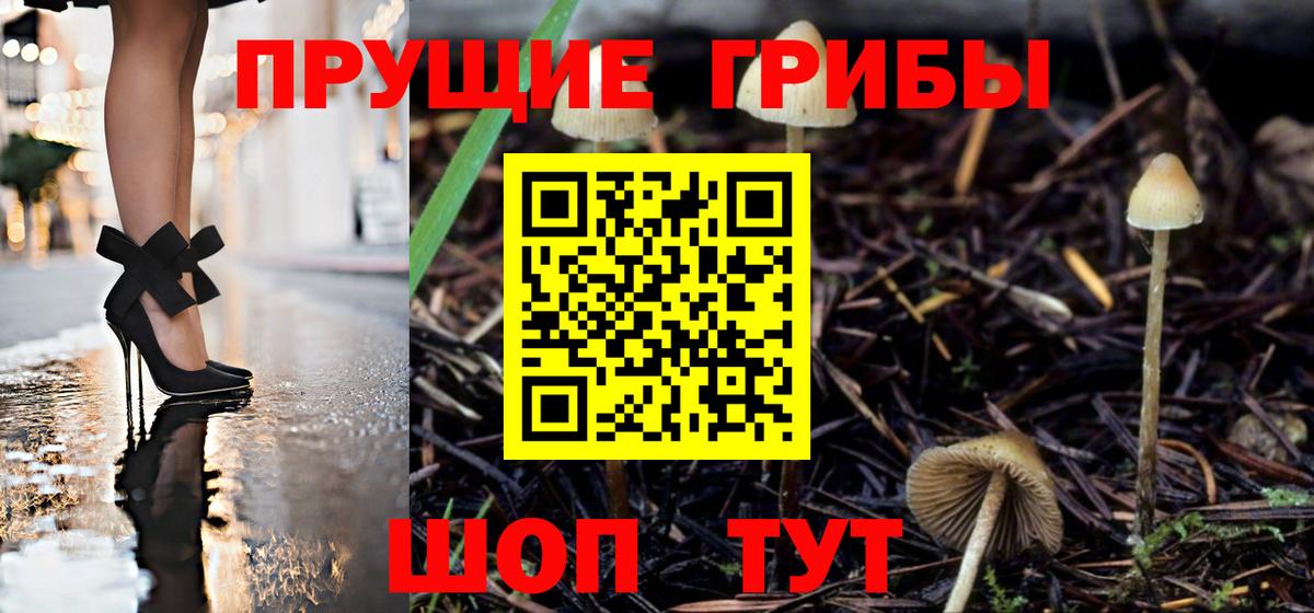 Галлюциногенные грибы Magic Shrooms  Вход с VPN  Кузнецк 