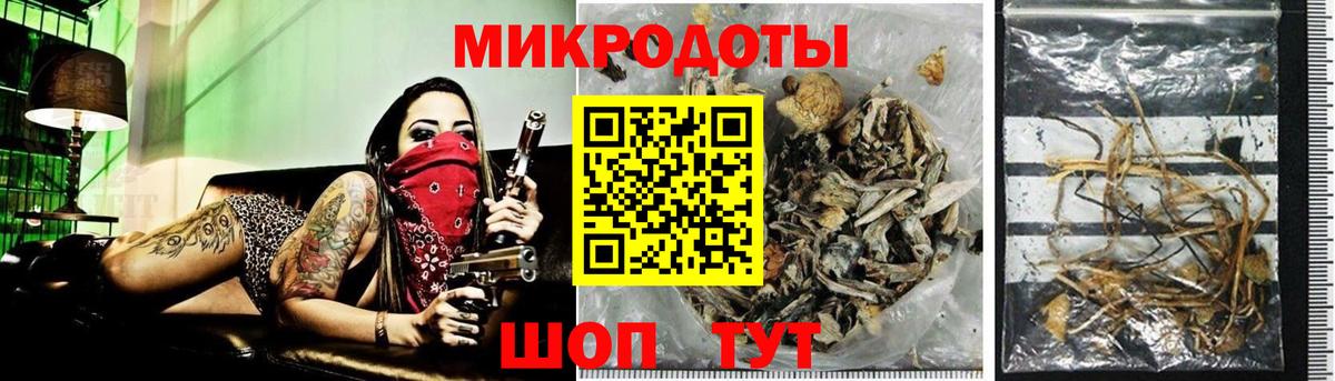 Псилоцибиновые грибы MAGIC MUSHROOMS Кузнецк