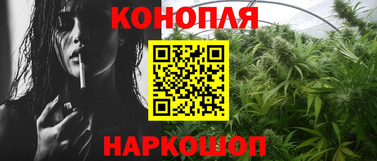 Канабис семена Кузнецк